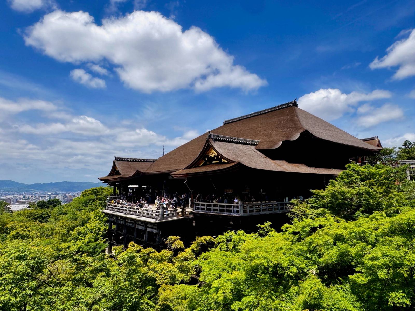 新緑に包まれる清水寺の本堂